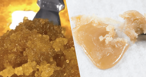 Live resin,  extracted