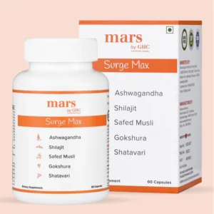 Endurance Booster Supplements – Shilajit tablets